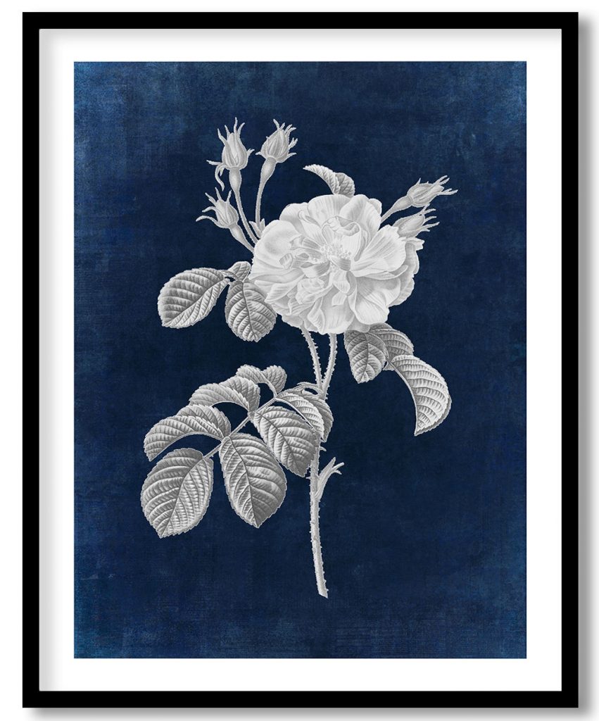 Vintage pink wild rose - Indigo Pressed