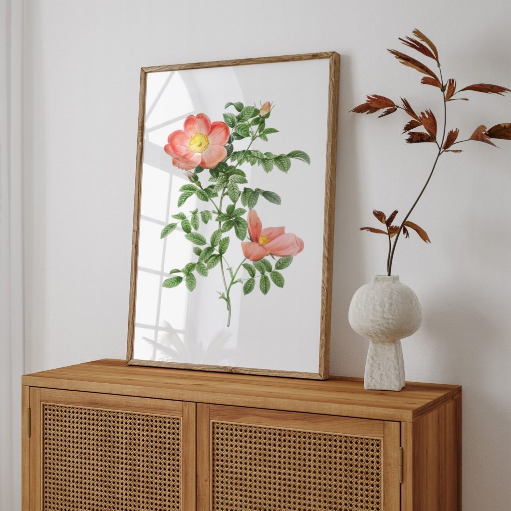 Botanical Two Pink Roses – Wall Art