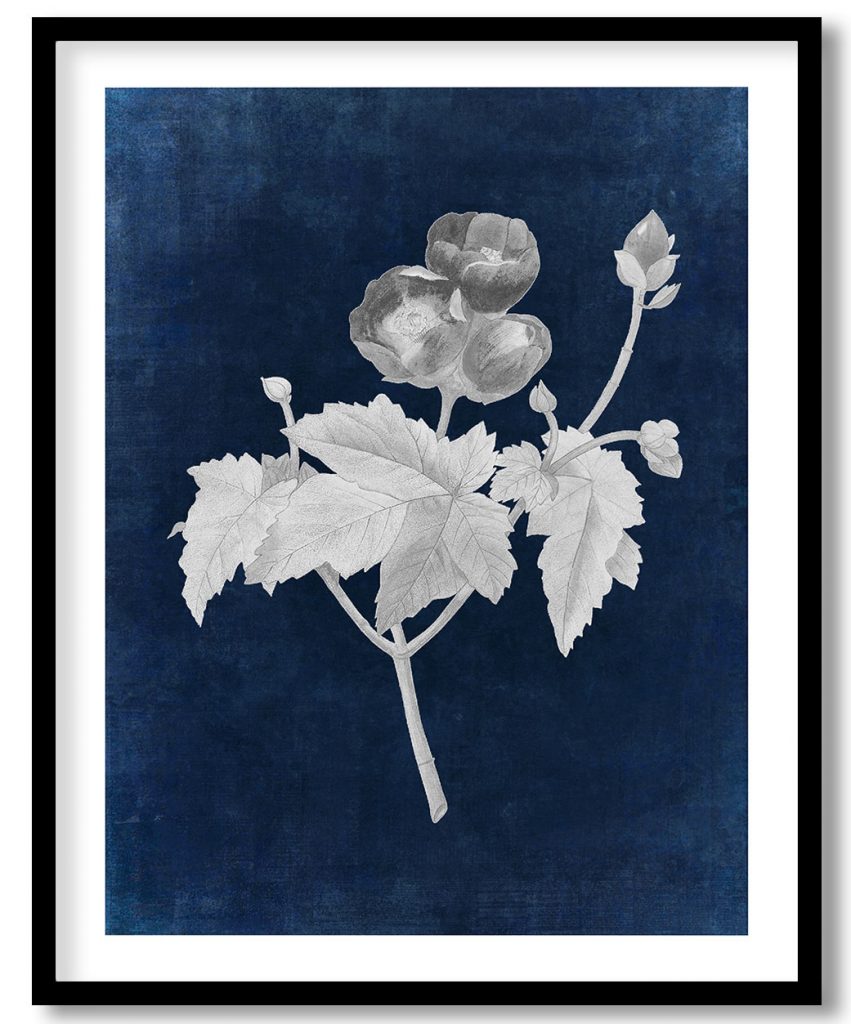 Vintage Purple Mallow flower - Indigo Pressed
