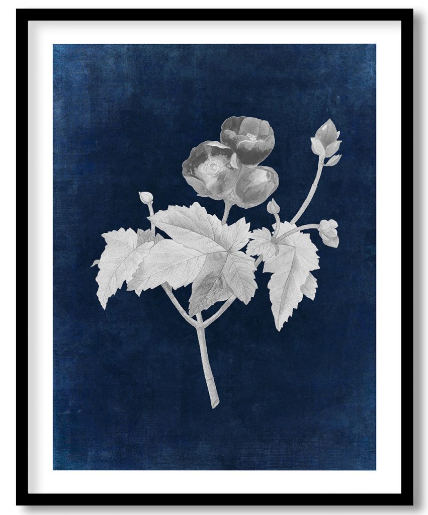 Vintage Purple Mallow flower  - Indigo Pressed