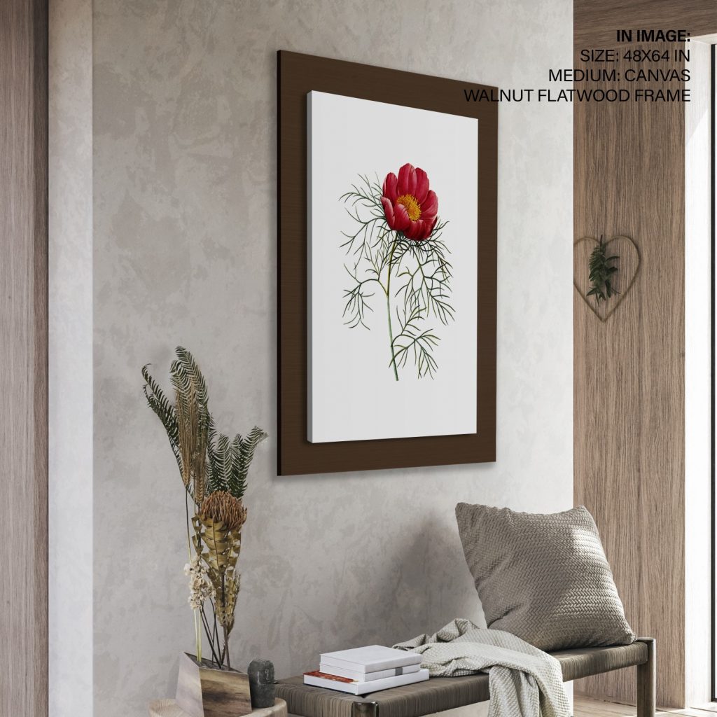 Red peony flower botanical by Pierre Joseph Redouté #119