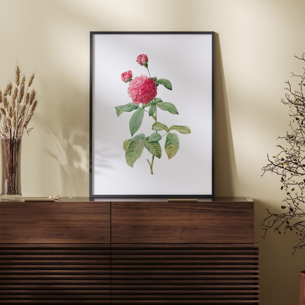 Botanical Pink Rose Buds Foliage – Wall Art