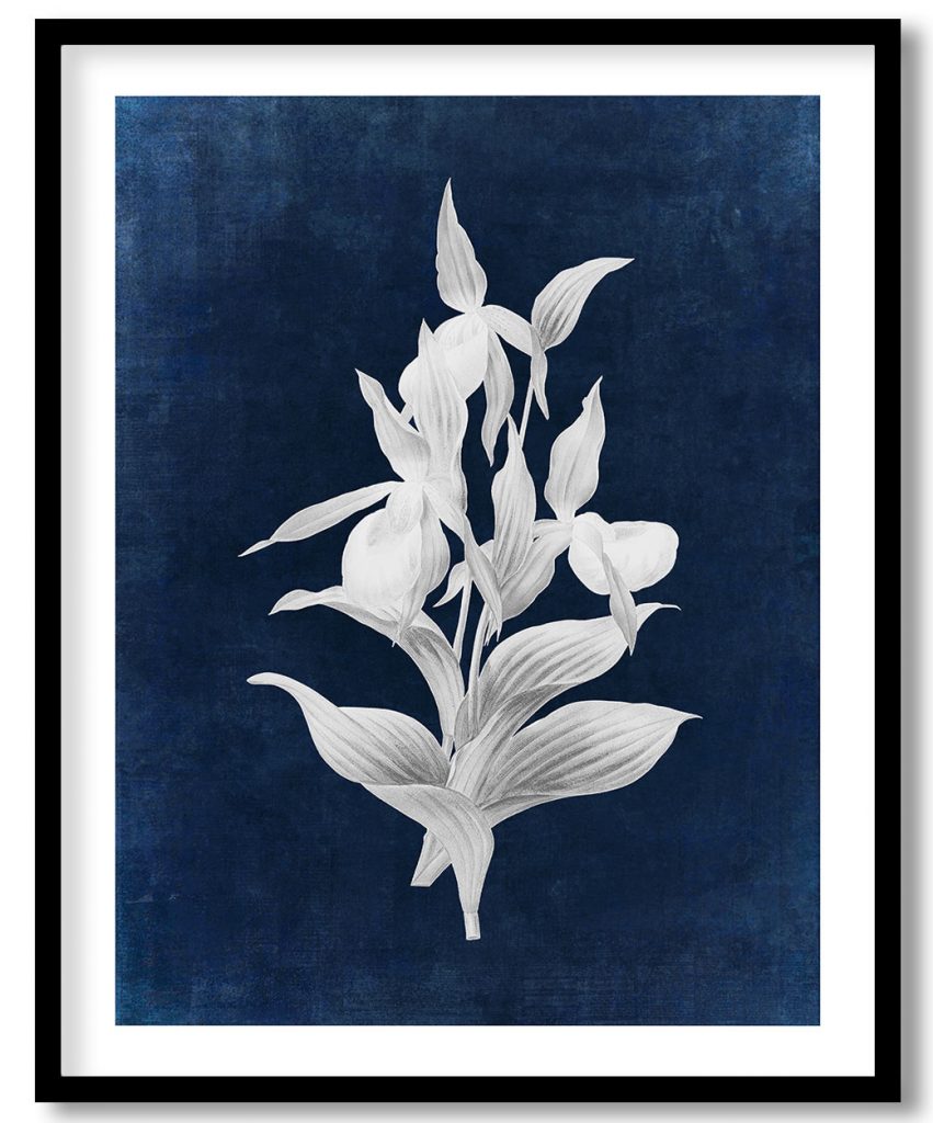 Yellow lady slipper orchid flower - Indigo Pressed