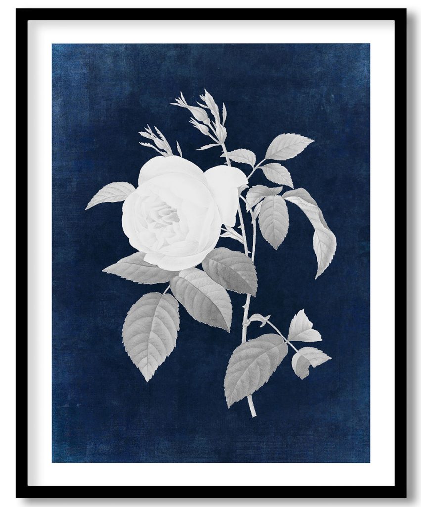Yellow Rose - Indigo Pressed