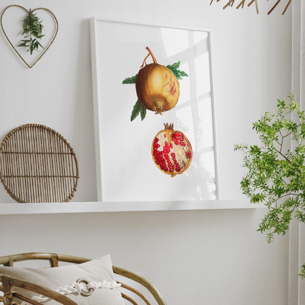 Botanical Pomegranates – Home Decor