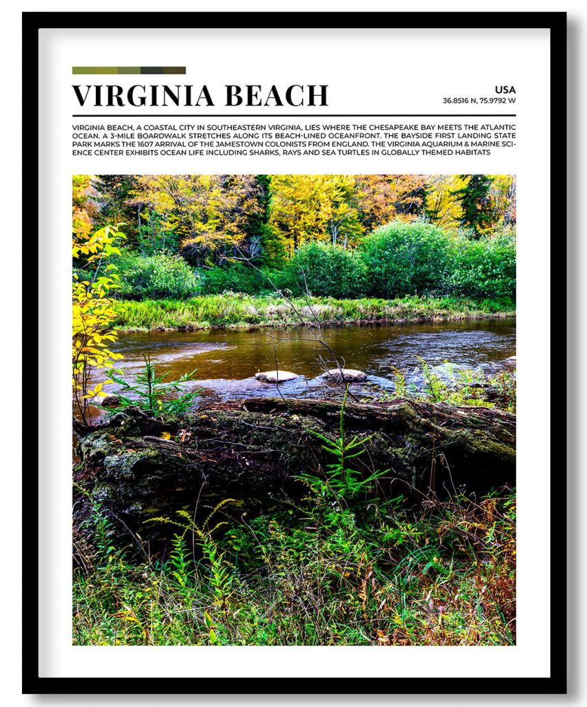 Virginia Beach, USA pantone poster