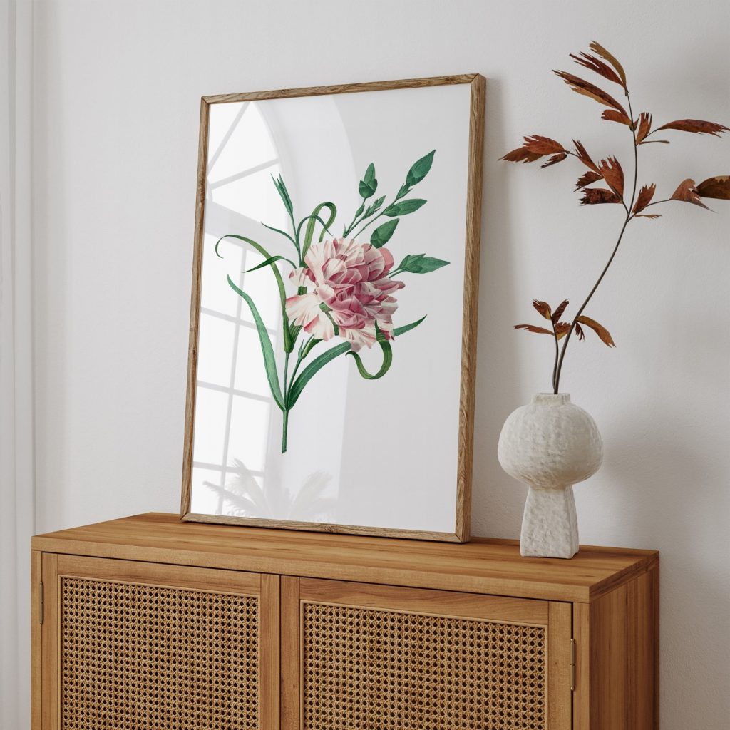 botanical Carnation flower by Pierre Joseph Redouté