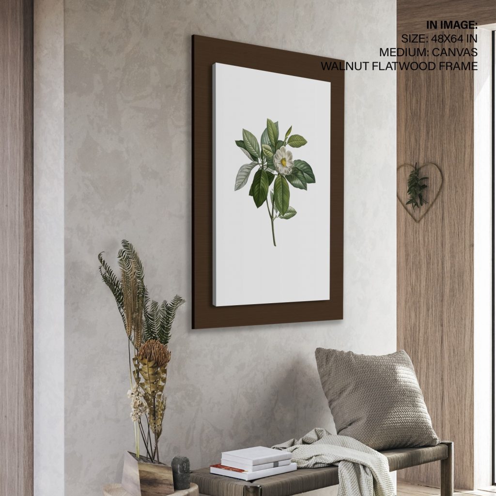 Botanical White Magnolia Plant – Wall Painting