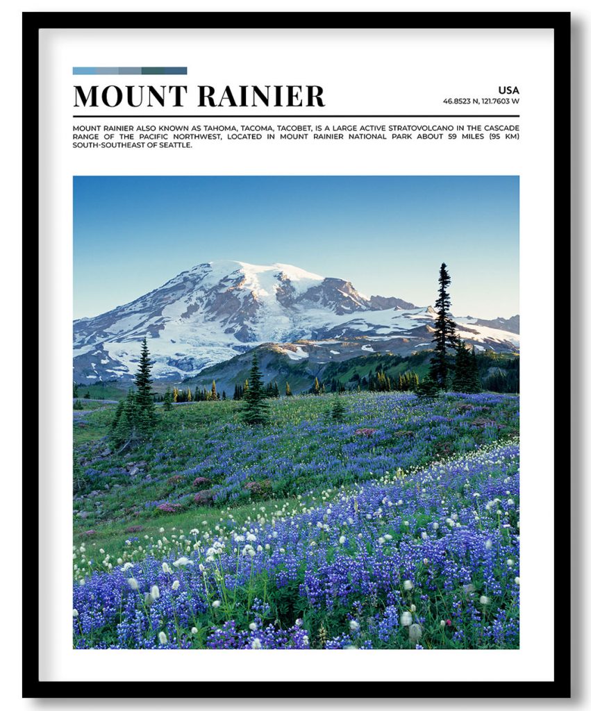 Mount Rainier, USA pantone poster