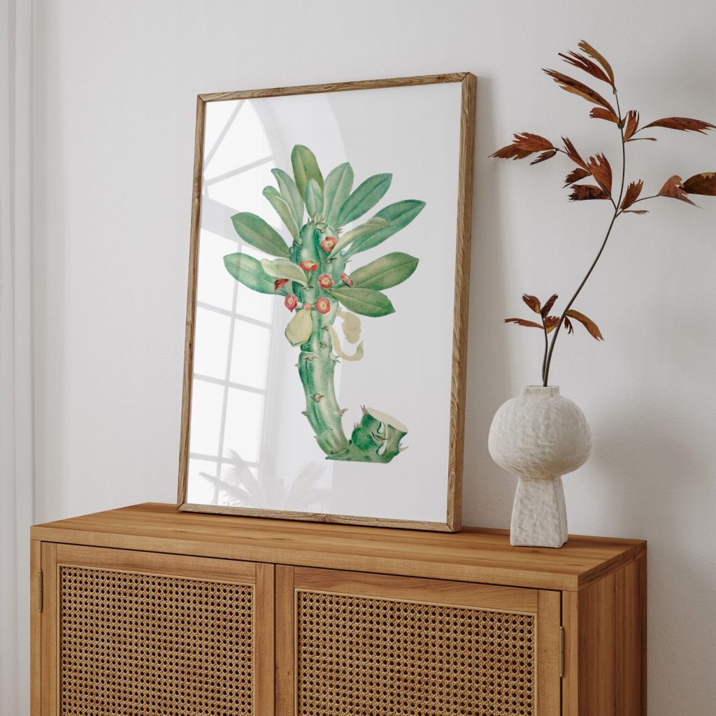 Botanical Spiky Succulent Red Flowers – Wall Decor