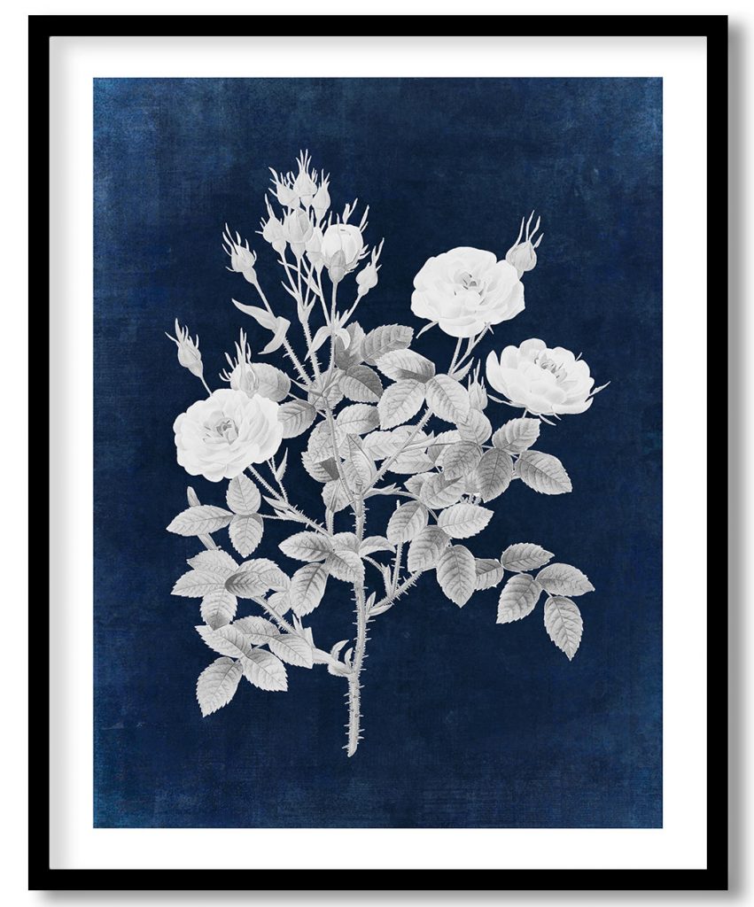 Rosier pompon flower - Indigo Pressed