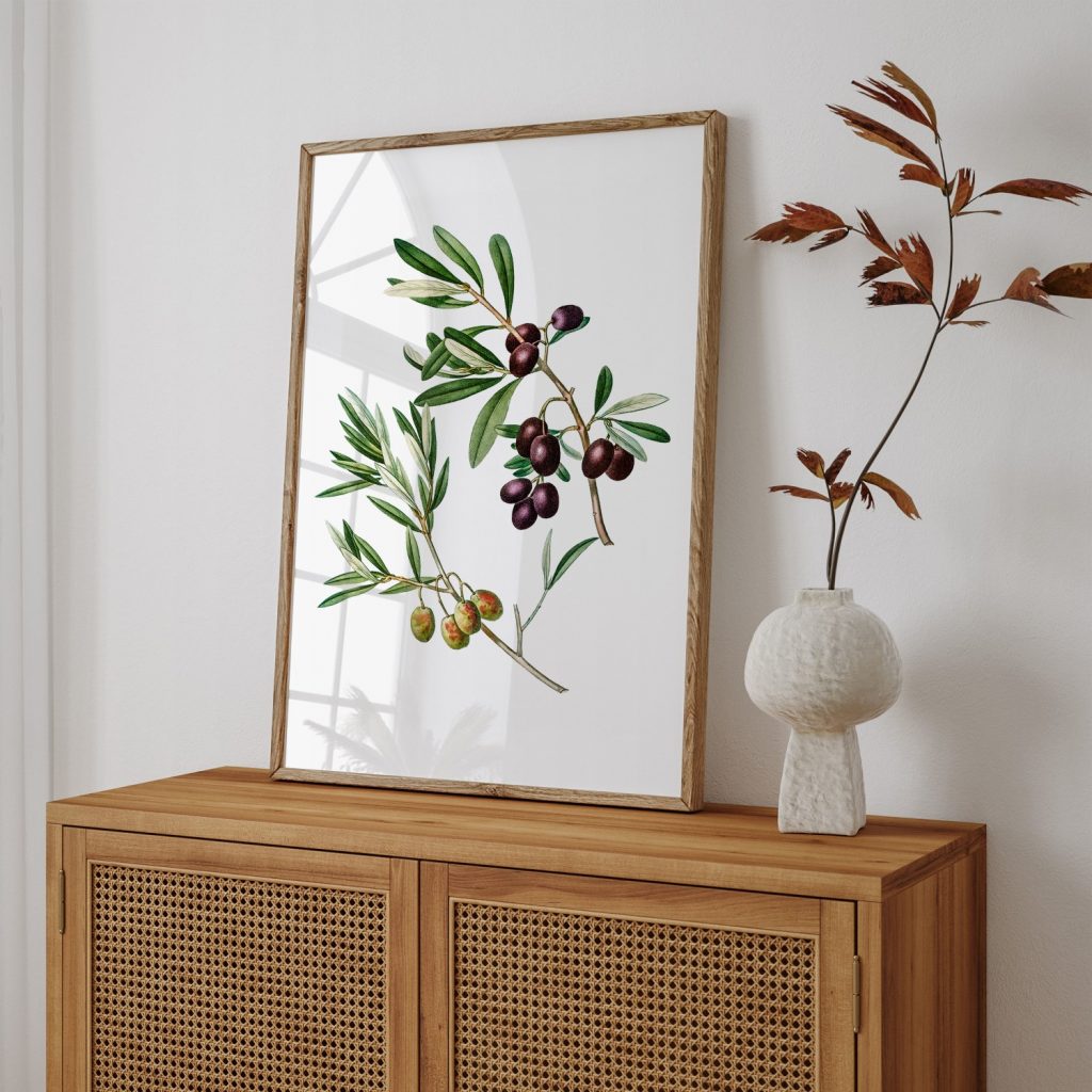 Botanical Olive Branches and Olives – Wall Art