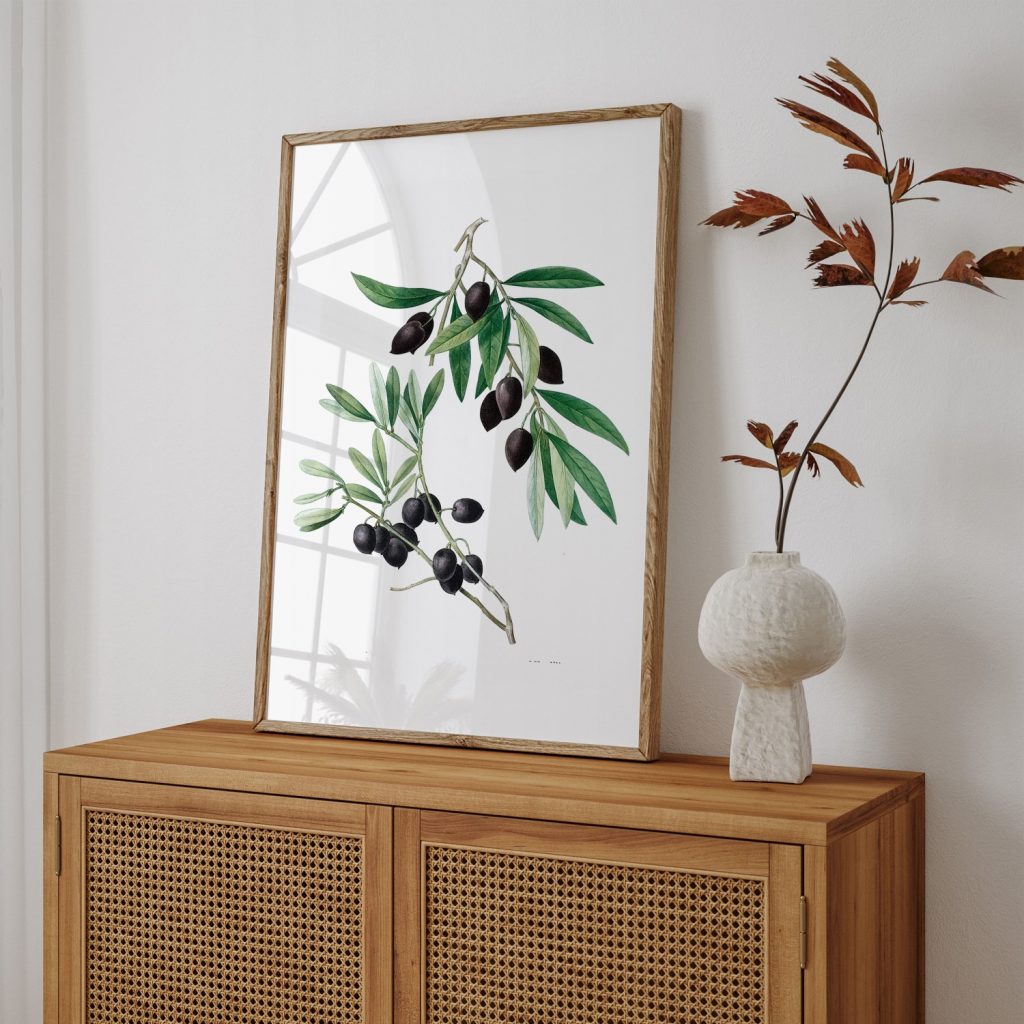 Botanical Olive Branches Dark Olives – Wall Art
