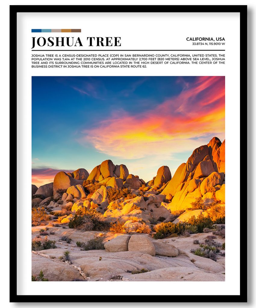 Joshua Tree, California, USA pantone poster