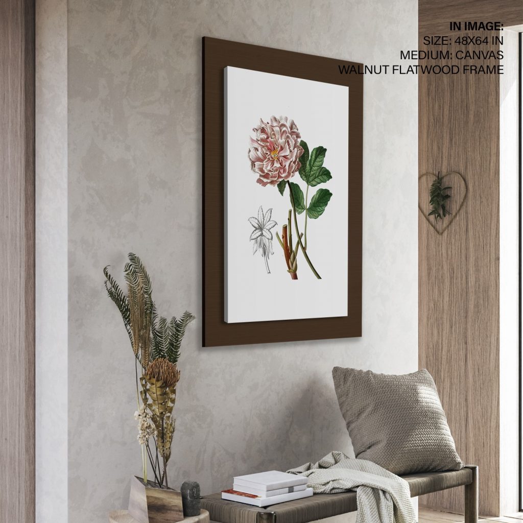 Botanical Pink Peony Green Leaves – Wall Decor
