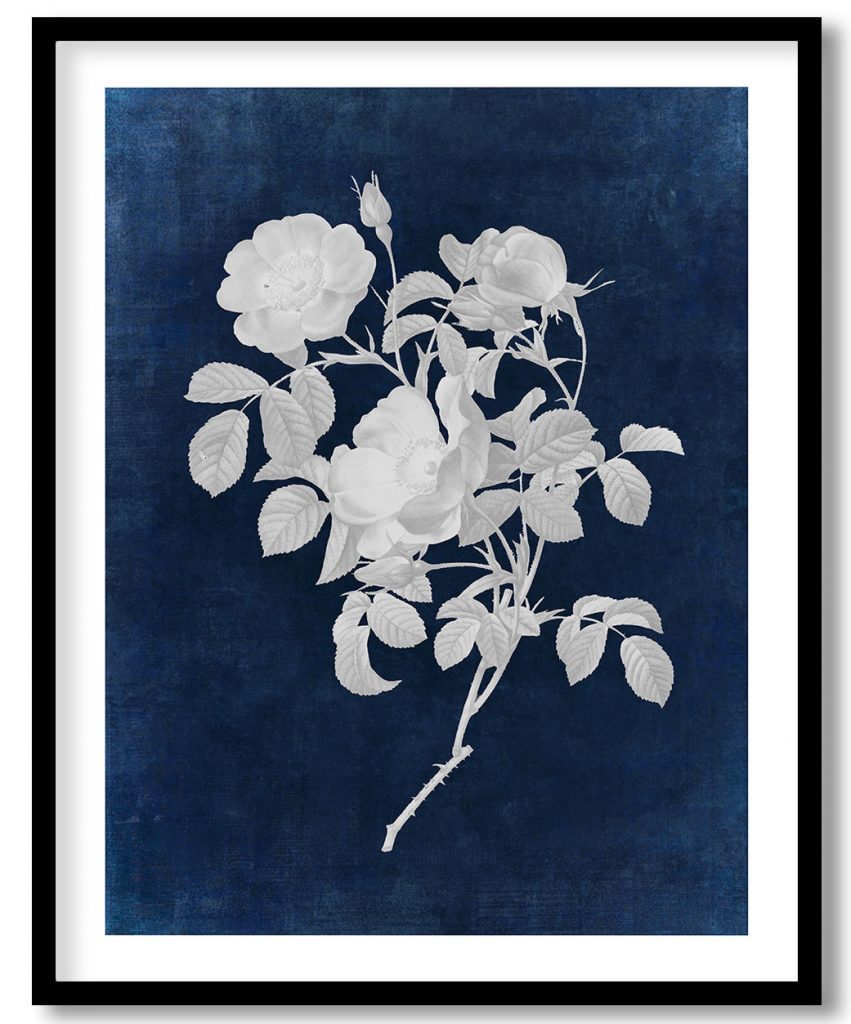 Rosier d'Amour - Indigo Pressed