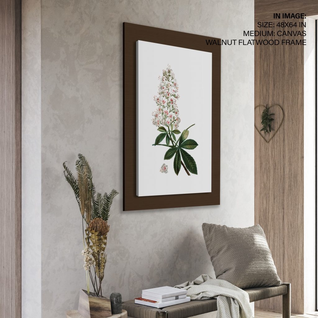 Botanical White Horse Chestnut – Wall Painting