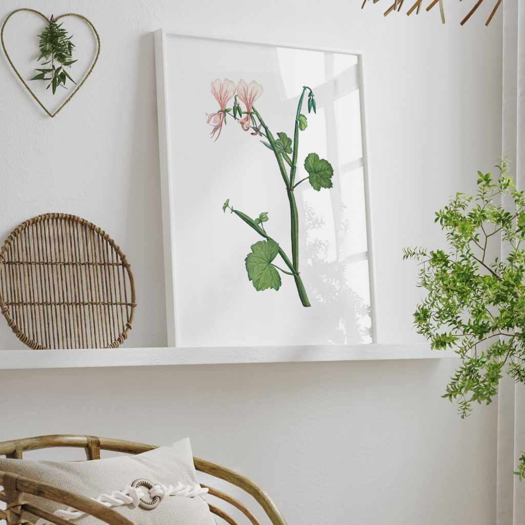 Botanical Pink Flowers Plant – Wall Art