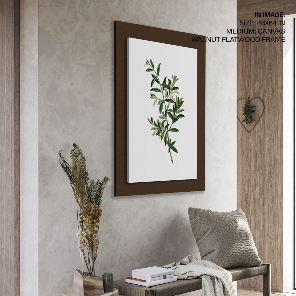 Botanical Green Olive Branch – Home Decor