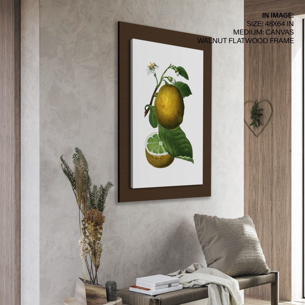 Botanical Citrus Fruit Bloom – Home Decor