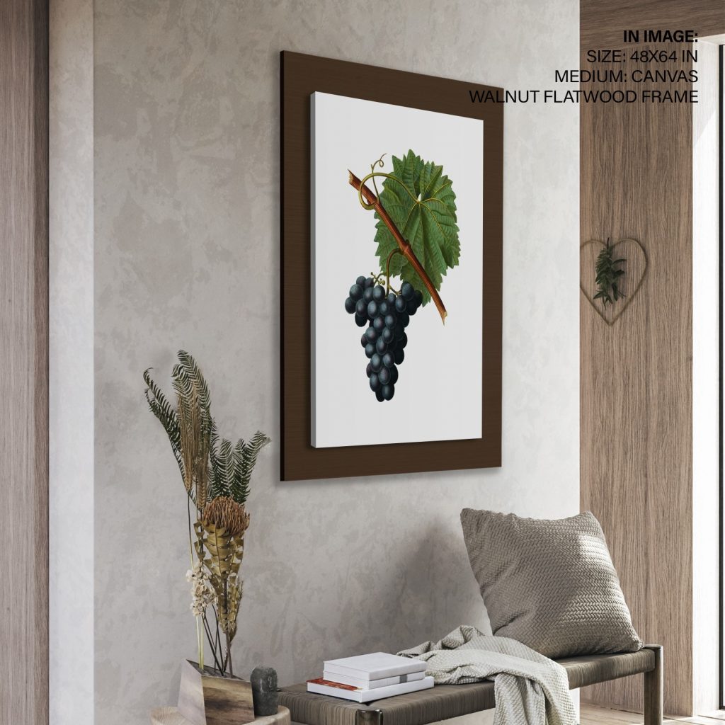 Botanical Grapes and Leaf – Wall Decor