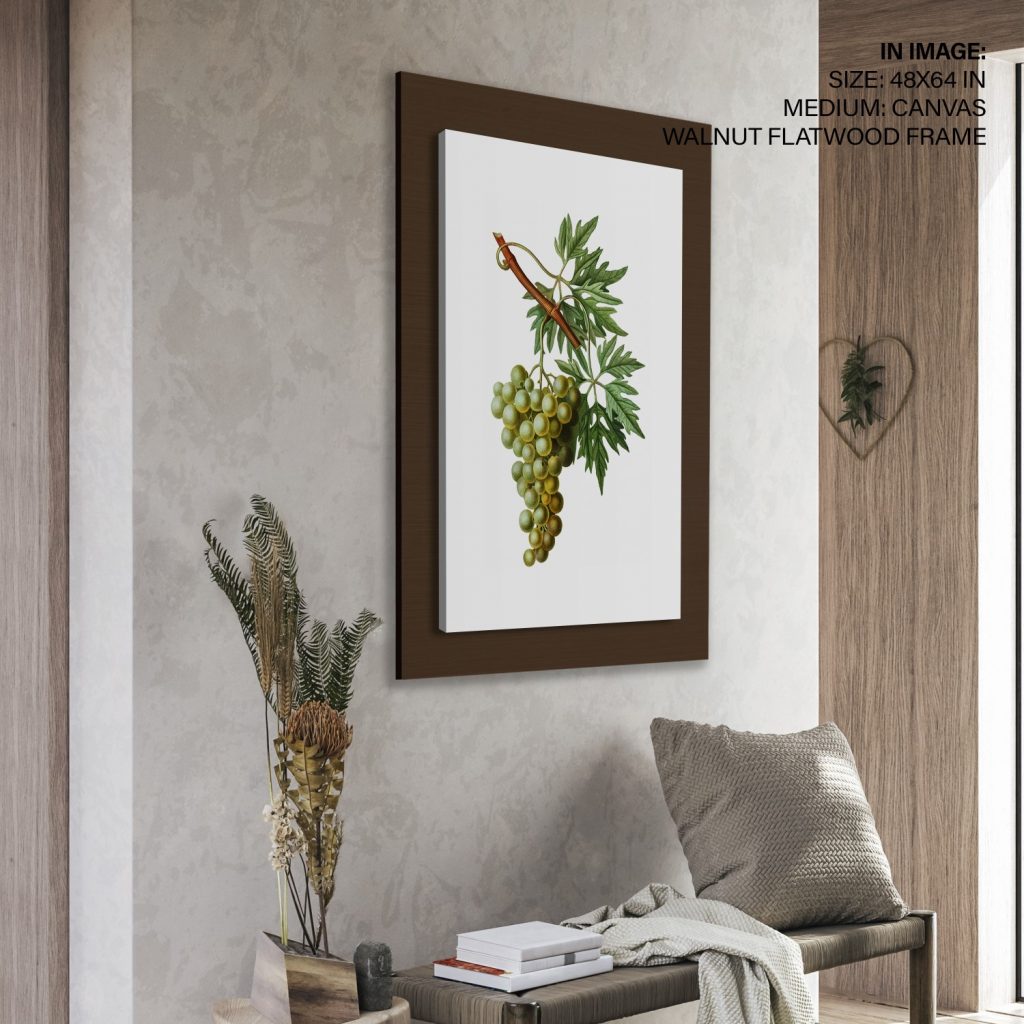 Botanical Green Grapes and Leaves – Wall Decor