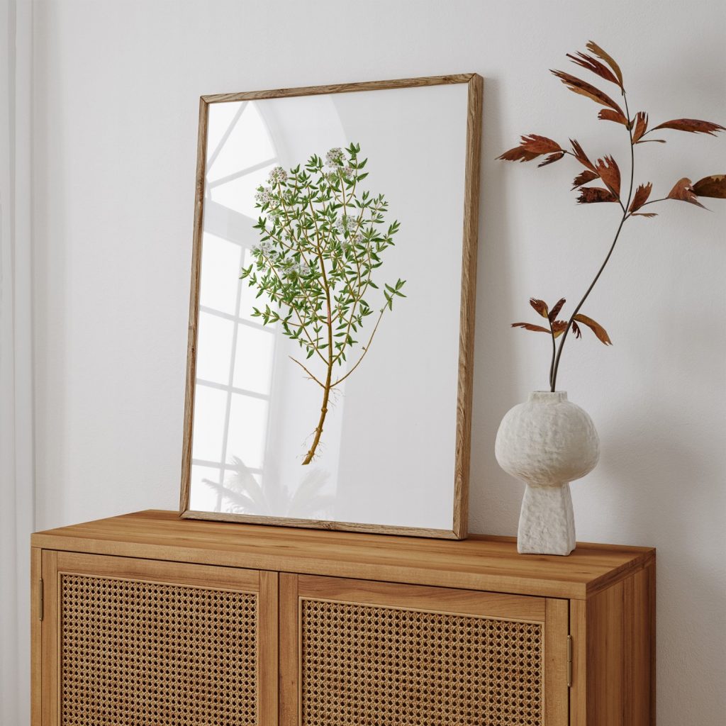 Botanical Plant White Flowers Roots – Home Decor