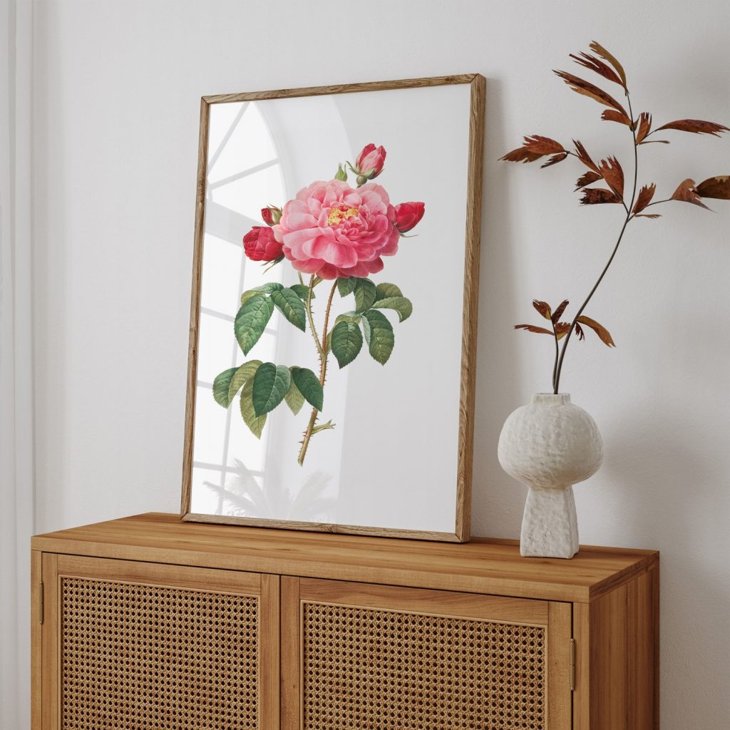 Botanical Pink Rose with Buds Illustration – Wall Hanging