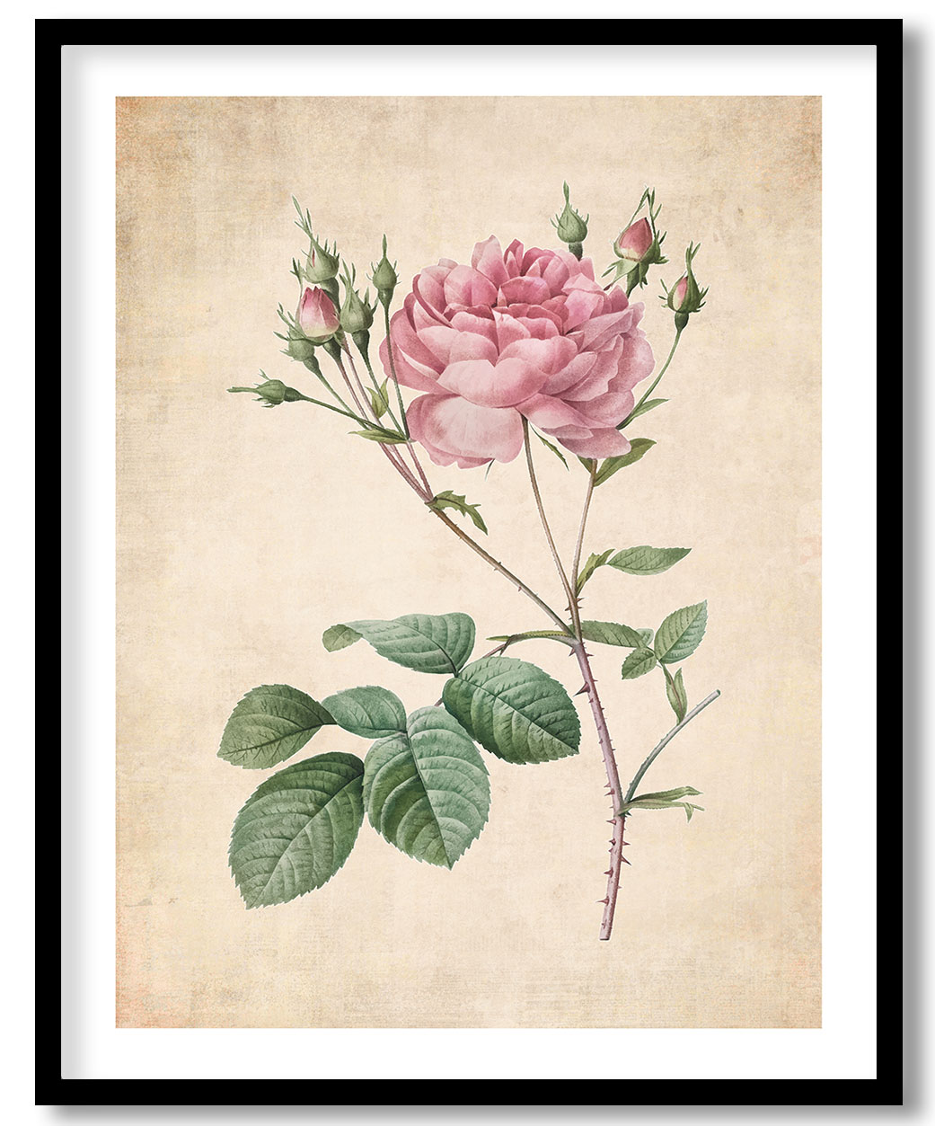 A-39-83.jpg A-39-83.jpg