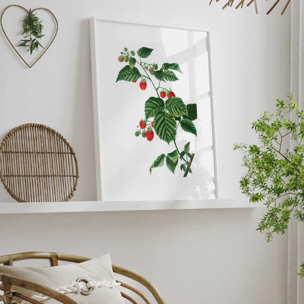 Botanical Raspberry Plant – Wall Hanging