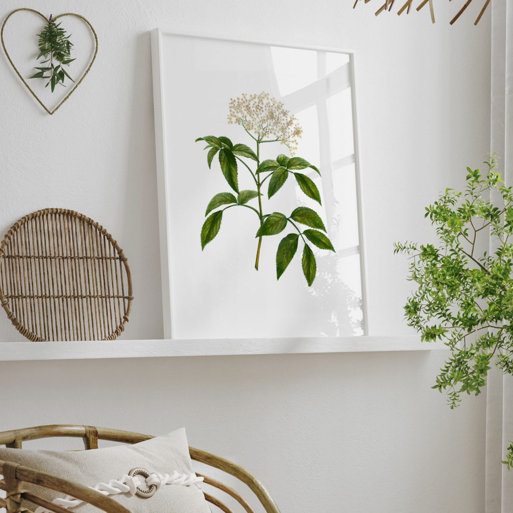 Botanical White Flowers Green Leaves 2 – Wall Painting