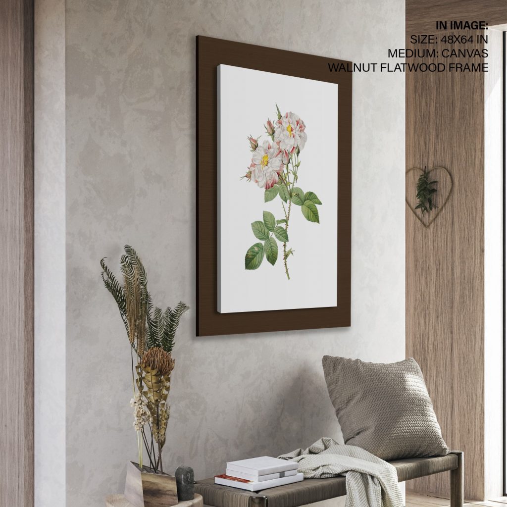 Botanical White Pink Striped Roses – Wall Art