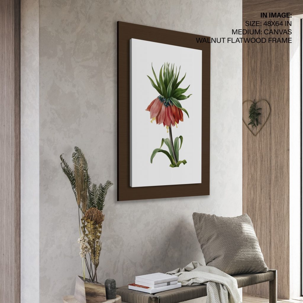 Crown Imperial Fritillary (1827) by Pierre Joseph Redouté and Henry Joseph Redouté