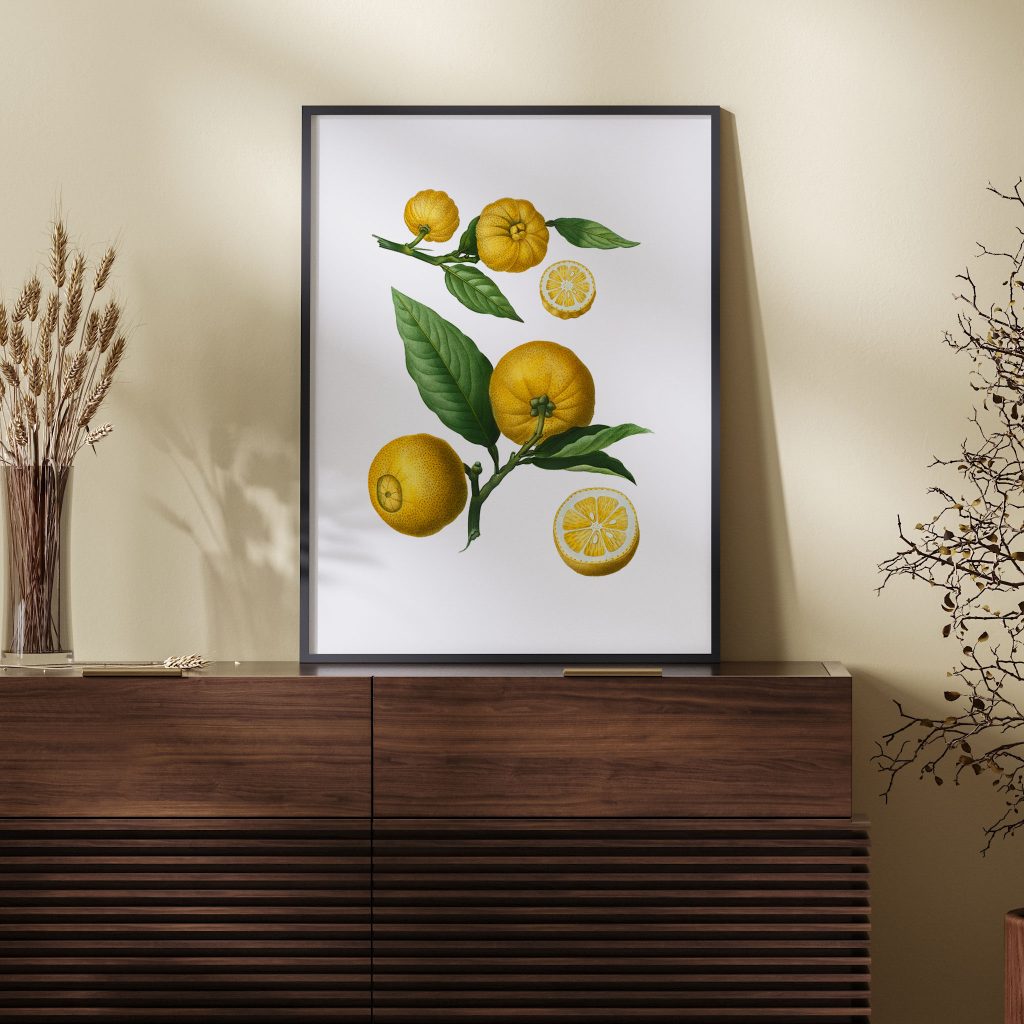 Botanical Yellow Citrus and Leaves – Wall Decor