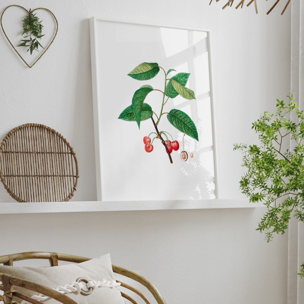 Botanical Cherry Branch Cross-section – Wall Hanging
