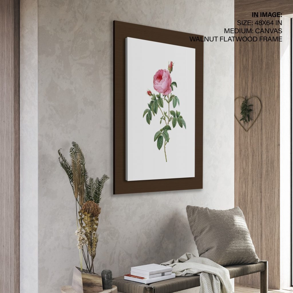 Botanical Pink Rose with Buds Classic – Wall Decor