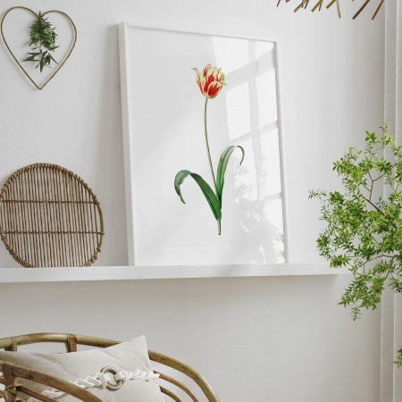 A-5-47.jpg A-5-47.jpg