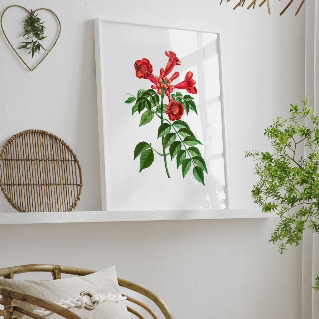 Botanical Red Trumpet Plant – Wall Painting