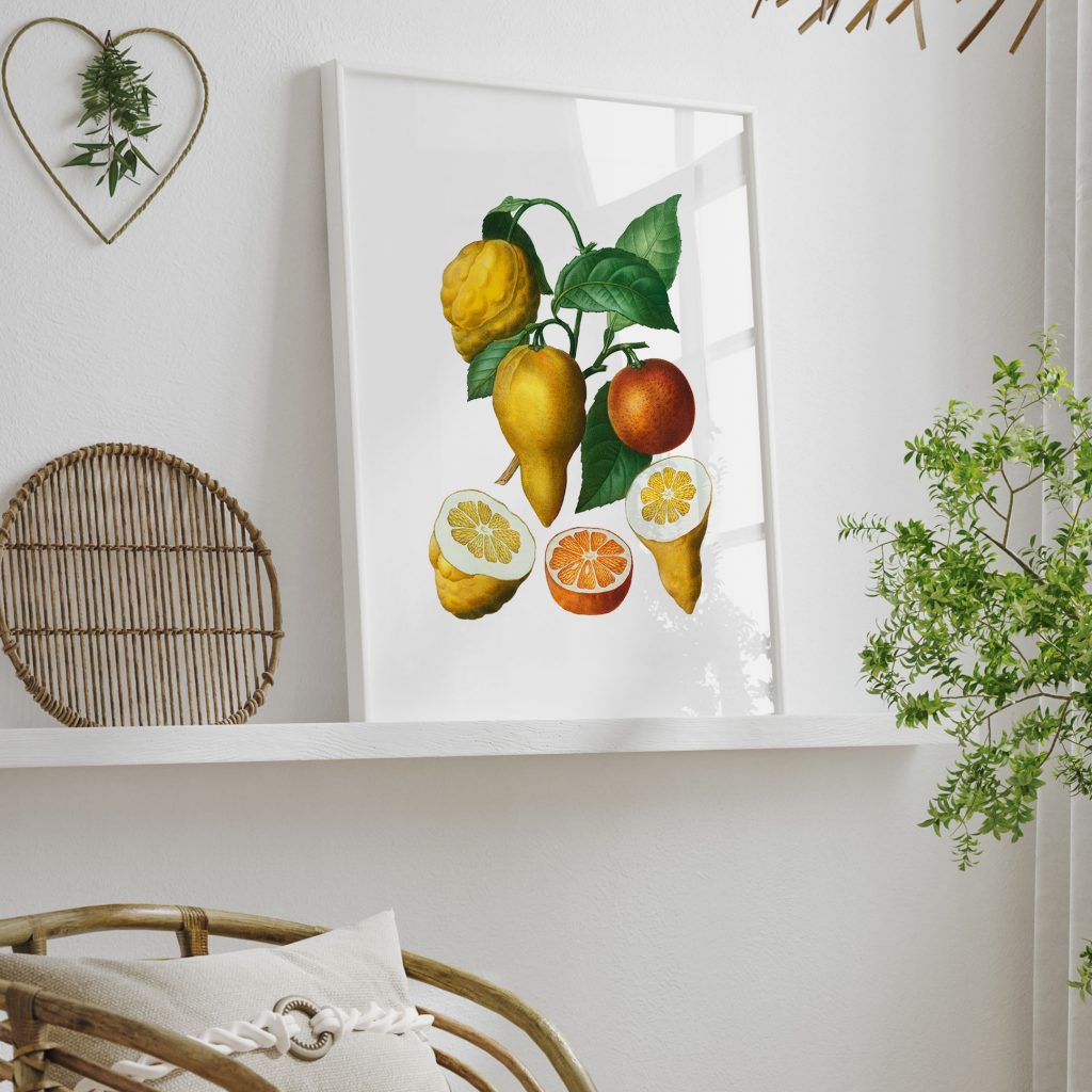 Botanical Various Citrus Fruits – Home Decor