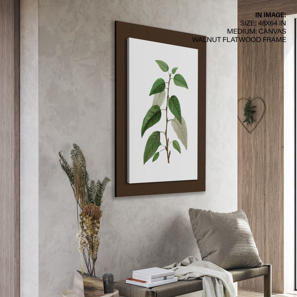 Botanical Leafy Plant Stem – Wall Hanging
