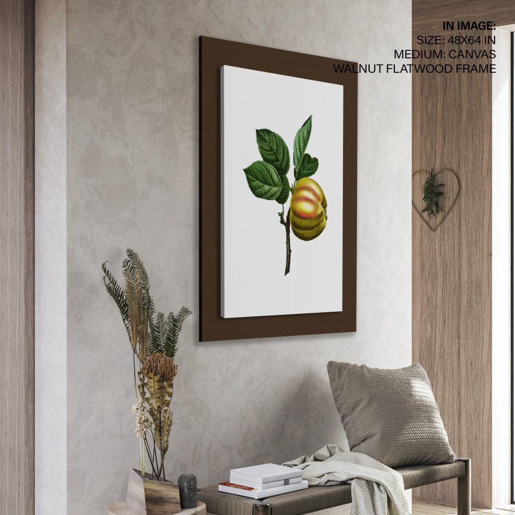 Botanical Fruit on Branch – Wall Art