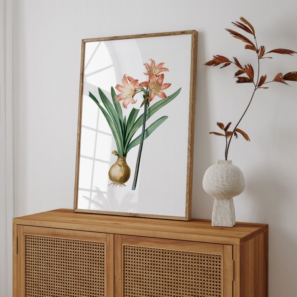 Amaryllis Belladonna from Les liliacées (1805) by Pierre Joseph Redouté
