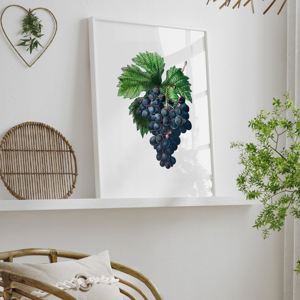Botanical Dark Grapes and Leaves – Wall Painting