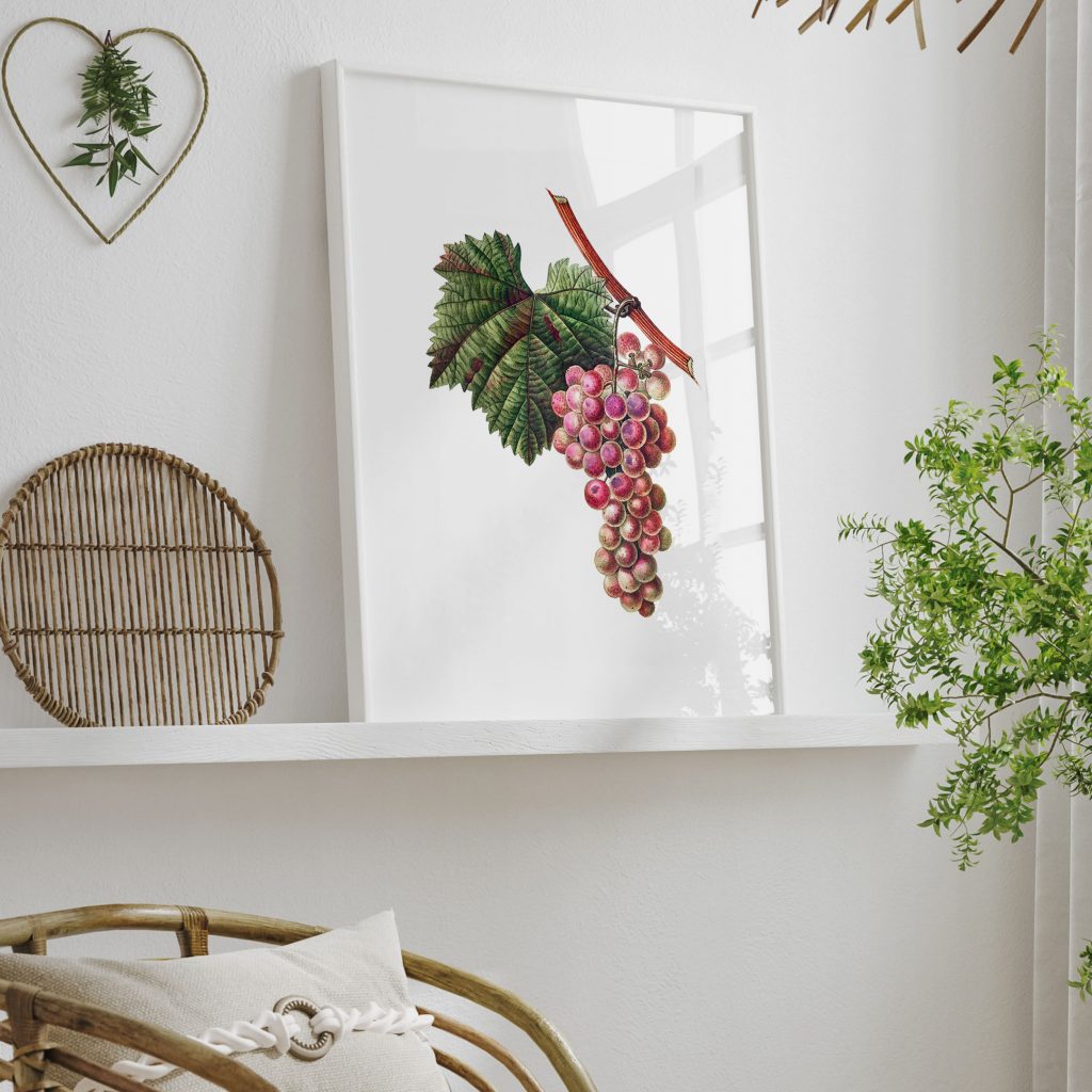 Botanical Red Grapes Vine Leaf – Wall Decor