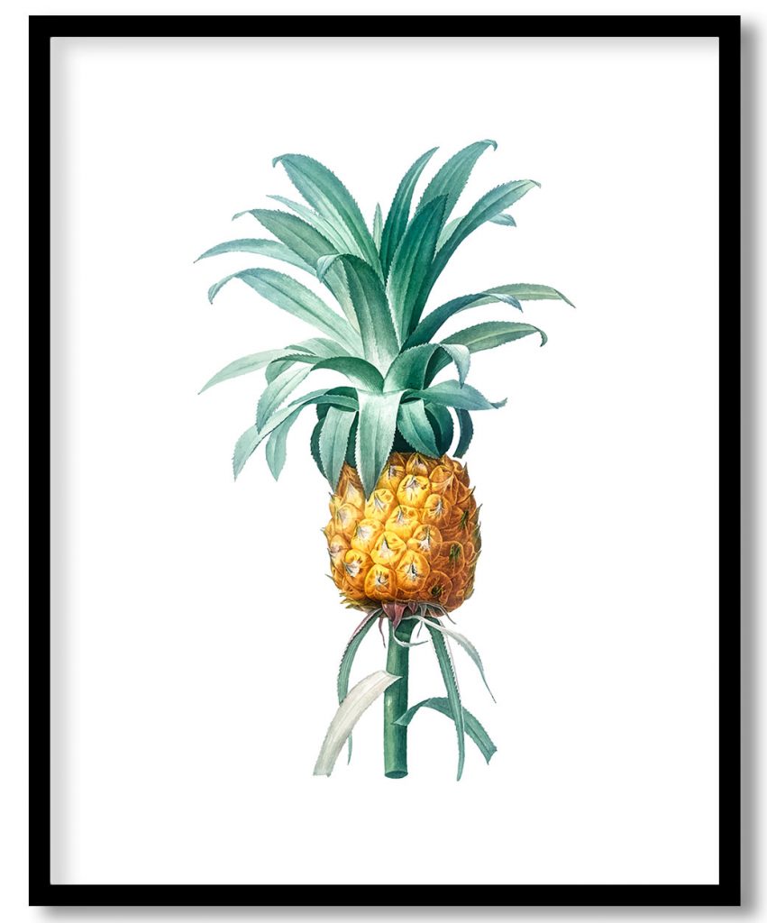Vintage Pineapple