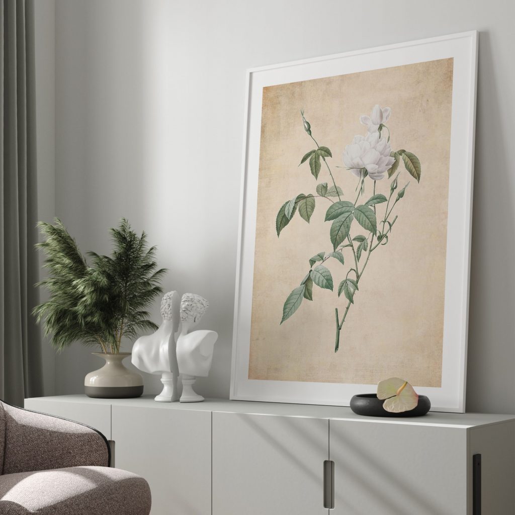 Botanical White Roses and Buds – Wall Painting