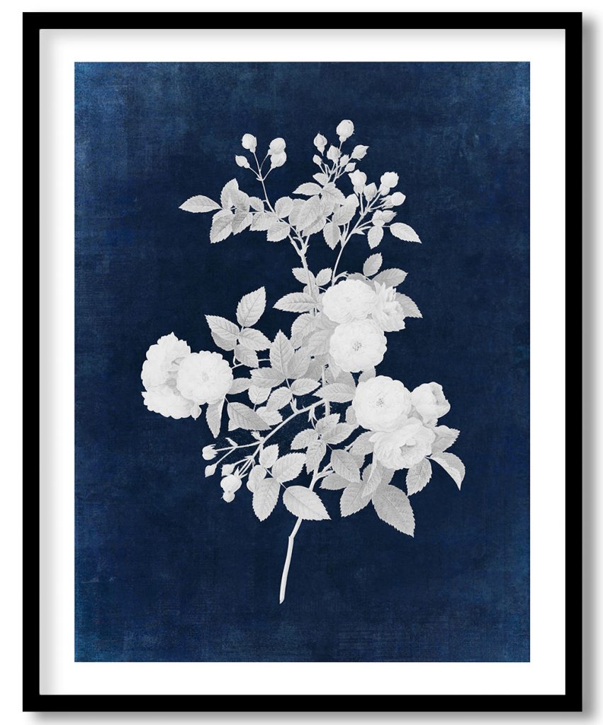 Flesh-Pink Multiflora, Rosa multiflora carnea - Indigo Pressed