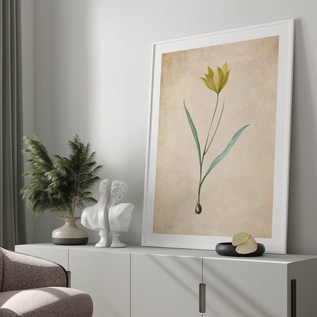 Botanical Yellow Tulip Bulb – Wall Decor