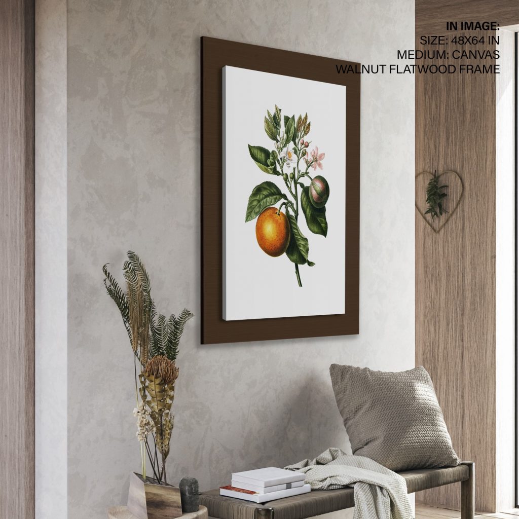 Botanical Orange Fruit and Flowers – Wall Art
