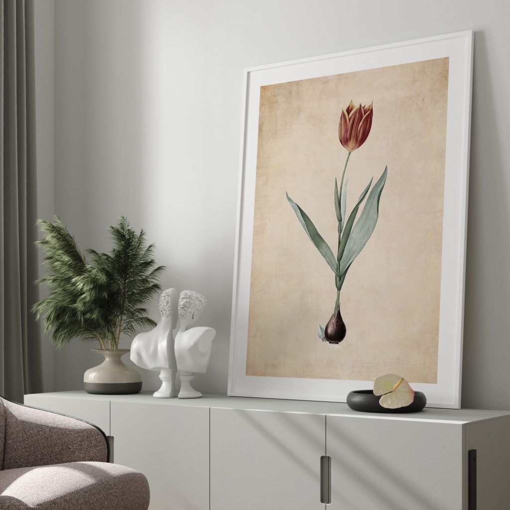 Botanical Tulip with Bulb – Wall Hanging